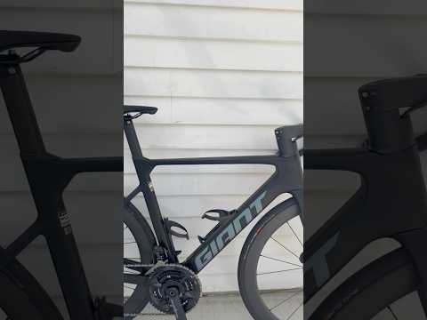 Giant Propel 2024
