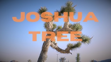 Joshua Tree Getaway | Desert Escape from LA
