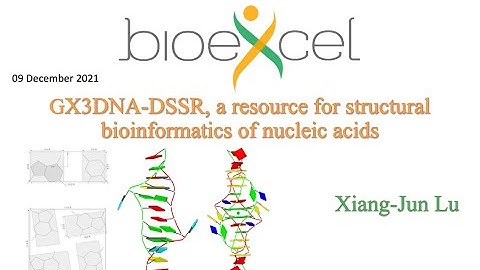 BioExcel Webinar #59: X3DNA-DSSR, a resource for structural bioinformatics of nucleic acids