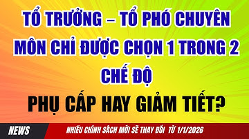 Tổ trưởng – Tổ phó chuyên môn chỉ được chọn 1 trong 2 chế độ Phụ cấp hay giảm tiết