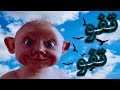 اغنية    تفو تفو عليك                 نجومي