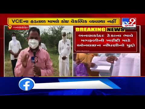 Banaskantha: Farmers suffer in online registration of groundnut due to strike of VCEs | TV9News