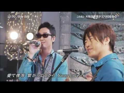 Kobukuro コブクロ - Blue Bird (live 28.02.2011)