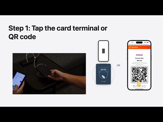 Thumbnail for OpenPay Demo