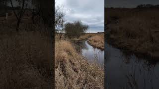 Wicken Fen, United Kingdom. A gentle stroll around the marsh land of the fens.