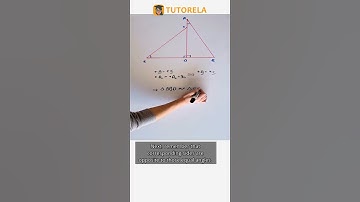 Triangle Similarity and Scale Factor Explained #Math #SimilarTrianglesAndPolygons