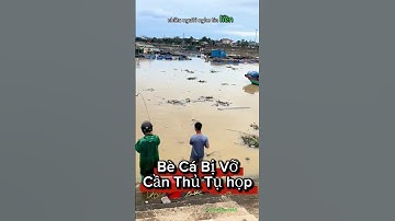 Bè cá tan hoang sau lũ, người dân kéo nhau ra sông câu cá trời cho