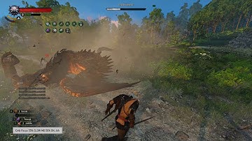 W3EE Griffin Clean Fight SlowMo 50%