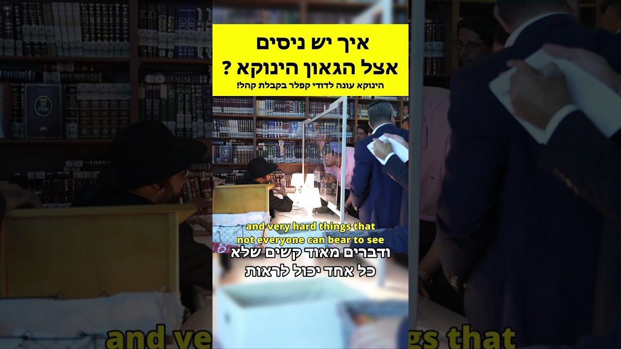 Uploads from שיעורי הינוקא - The Yanuka Rav Shlomo Yehuda
