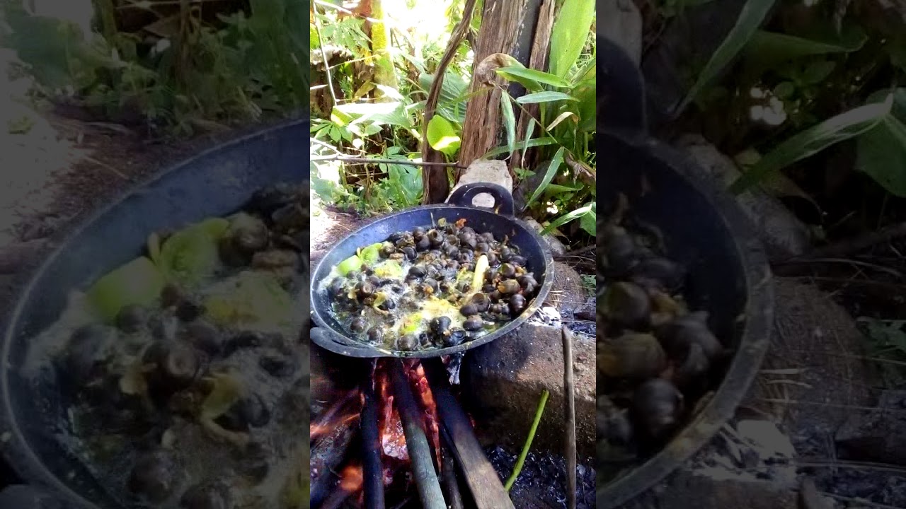 Masak tutut dg cara tradisional 