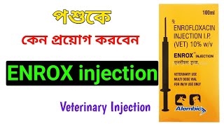 গরু মহিষ ছাগল ভেড়াকে কেন প্রয়োগ করবেন  Enrox Inj | Enrox Inj uses benifits Side-effects in bangla