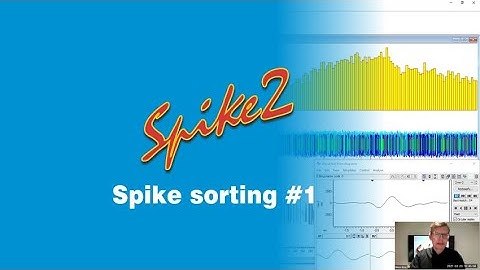 Spike2 Sorting #1 2021