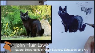 Black and White by John Muir Laws 2,339 views 3 months ago 2 hours, 21 minutes