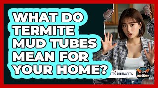 What Do Termite Mud Tubes Mean For Your Home? - Insects and Invaders
