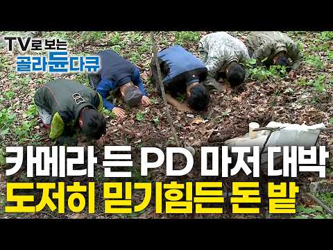 "한 뿌리 수천만 원, 하나 둘 쫓아갔더니 지천에 깔린 돈밭" 해발 1,000미터 인적없는 산 속에 군락지 찾았다｜카메라 든 PD마저 대박｜약이 되는 보물｜극한직업｜#골라듄다큐