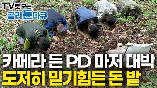 "한 뿌리 수천만 원, 하나 둘 쫓아갔더니 지천에 깔린 돈밭" 해발 1,000미터 인적없는 산 속에 군락지 찾았다