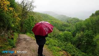 A Devesa de Rogueira, con choiva aínda é máis espectacular. O Courel. Galicia