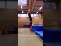 Schweizer Handstand Übungen Teil 3  #shorts #Schweizer #handstand #gymnastics #turnen