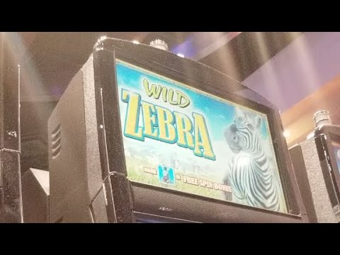woodbine casino Live Play 🦁🦓🦓🦓🦁