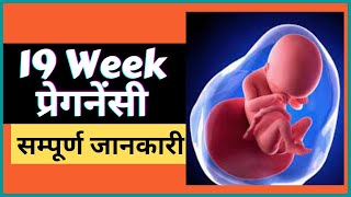 19 Week Pregnancy in Hindi | 19 Weeks Pregnant | Pregnancy Week by Week | 19 हफ्ते की प्रेगनेंसी
