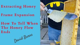 Beekeeping Extracting Honey, How To Tell When The Nectar Flow Ends