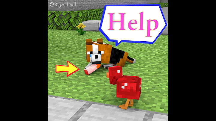 Choose The Item That Can Cover For The Chickens To Escape Kaufmo And Enter The Right Door
