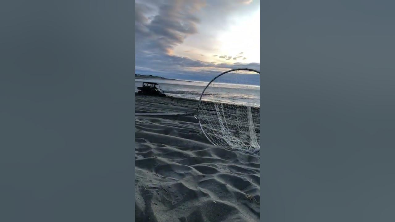 2022 July 1 kasilof dip netting YouTube