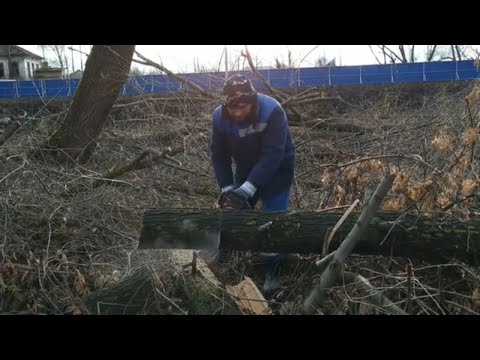 ЗАГОТОВКА ДРОВ ДЛЯ БАНИ ЧИСТКА ОВРАГА ОТ ДЕРЕВЬЕВ УБОРКА СУЧЬЕВ/ ДЕРЕВЕНСКАЯ ЖИЗНЬ ЗАМЕЧАТЕЛЬНАЯ/2!
