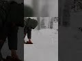 Built a Tree Shelter to Brave the Blizzard Alone 🌨️🌲 #SnowSurvival