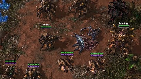 Starcraft 2 Queen Broodmother Gathering