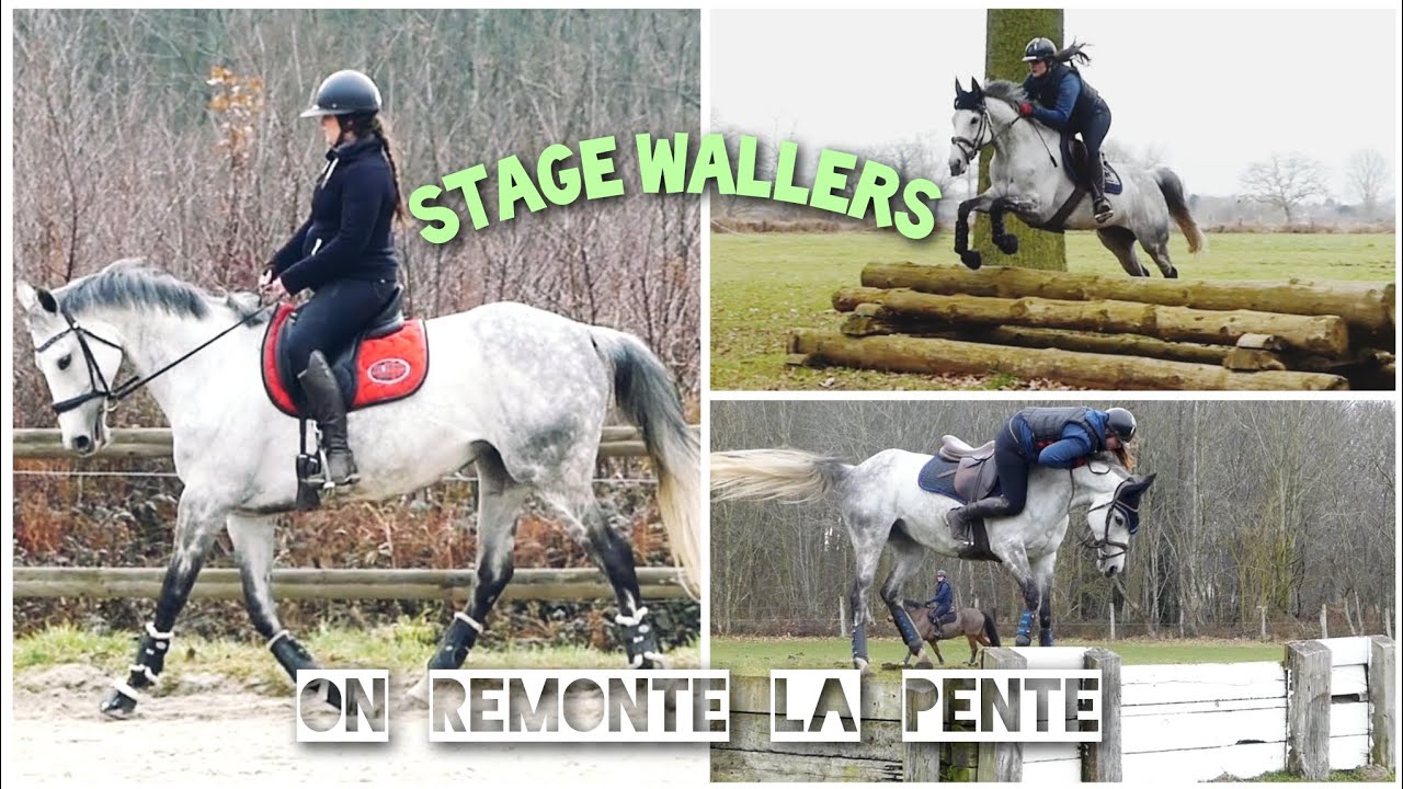 LE STAGE DE LA DERNIERE CHANCE || LE DECLIC ✨️