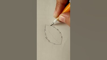 Rose leaf #art #short #shorts