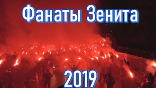 Фанаты Зенита 2019