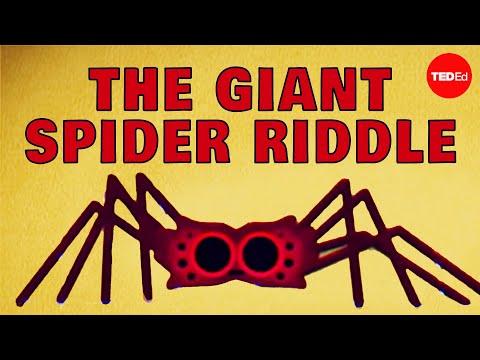 Can you solve the giant spider riddle? - Dan Finkel thumbnail