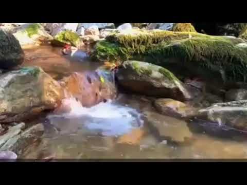 صوت جميل وتلاوة رائعة مع هدير الماء Beautiful Voice And Wonderful Recitation With The Roar Of Water
