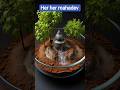 her her mahadev #sanatandharma #shortvideo #shivmahapuran #shivbhajan