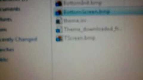 How to get r4 themes working on r4i