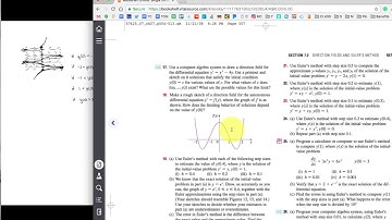 7.2 - Direction Fields Example Problems