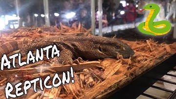 Attending My First Repticon!