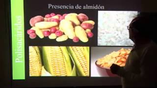 NUTRICIÓN: GLÚCIDOS O HIDRATOS DE CARBONO EN UN ANIMAL