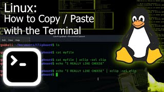 How to Copy/Paste with the Terminal (Linux Tutorial) screenshot 5