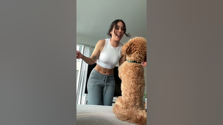 me voy pa' allá, me voy pa' allá ME JALO- Fuerza Regida & Grupo Frontera [Tiktok:@leal_stephany]