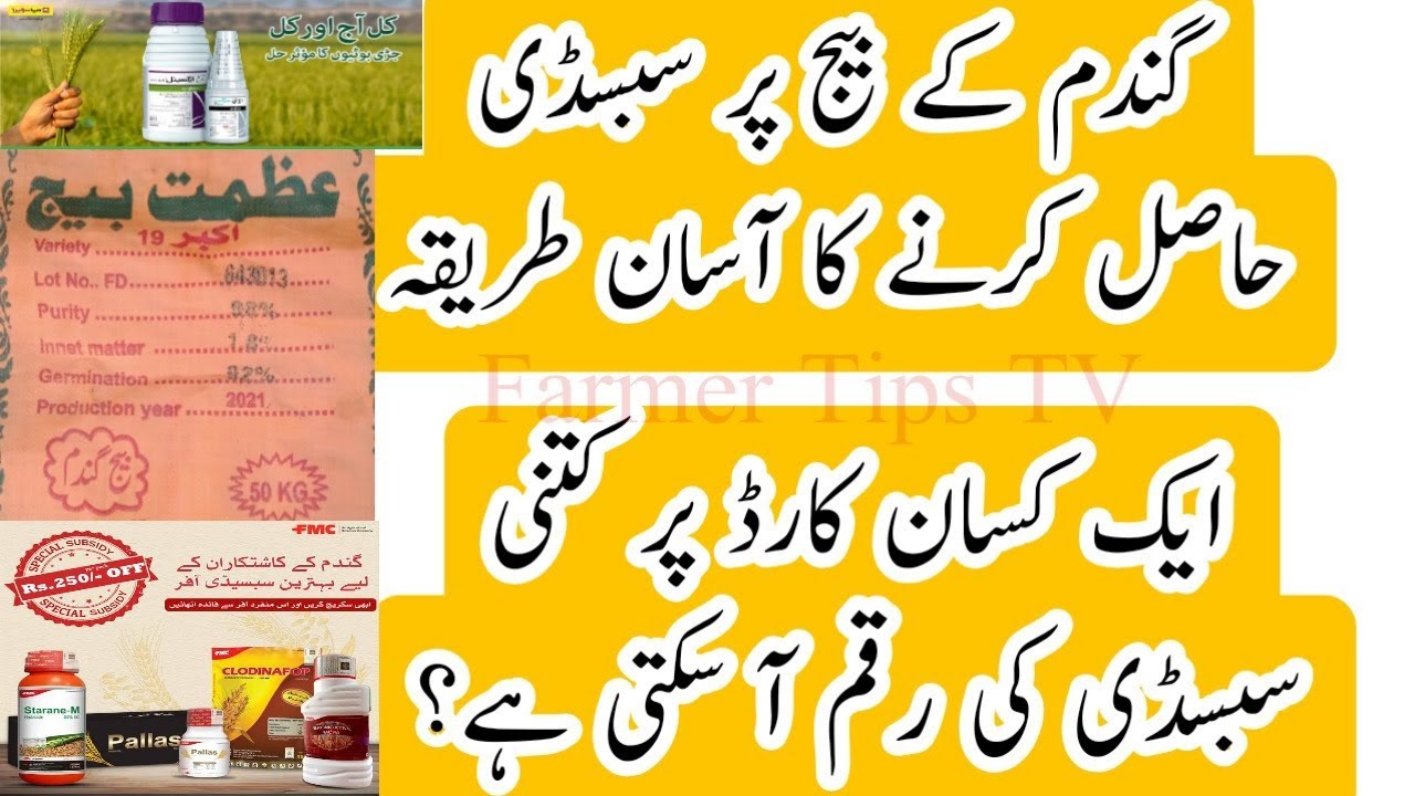 How To get Subsidy On Wheat Seed.