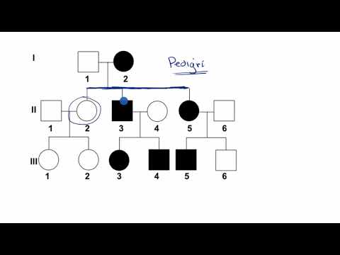 Vídeo: Com Crear Un Pedigrí Familiar