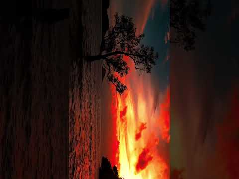 True beauty of Earth || Edit of Earth's wildlife 4K clips #subscribe #naturephoto