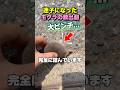 迷子になったモグラの救出劇🥺
