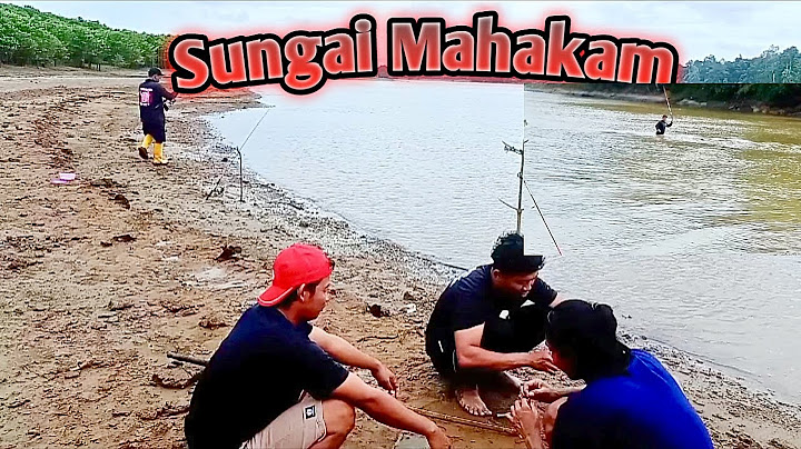 Keseruan MANCING di Sungai MAHAKAM, pasti NYESEL Kalau Belom Mancing keSini