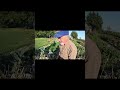 Digging up Garlic