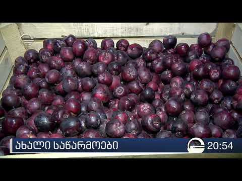 სახელმწიფო თანადაფინანსებით შექმნილი სამაცივრო მეურნეობები