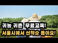 귀농 귀촌을 원하시는 분들은 나라에서 무료로 교육해 드립니다. 선착순 이여요!